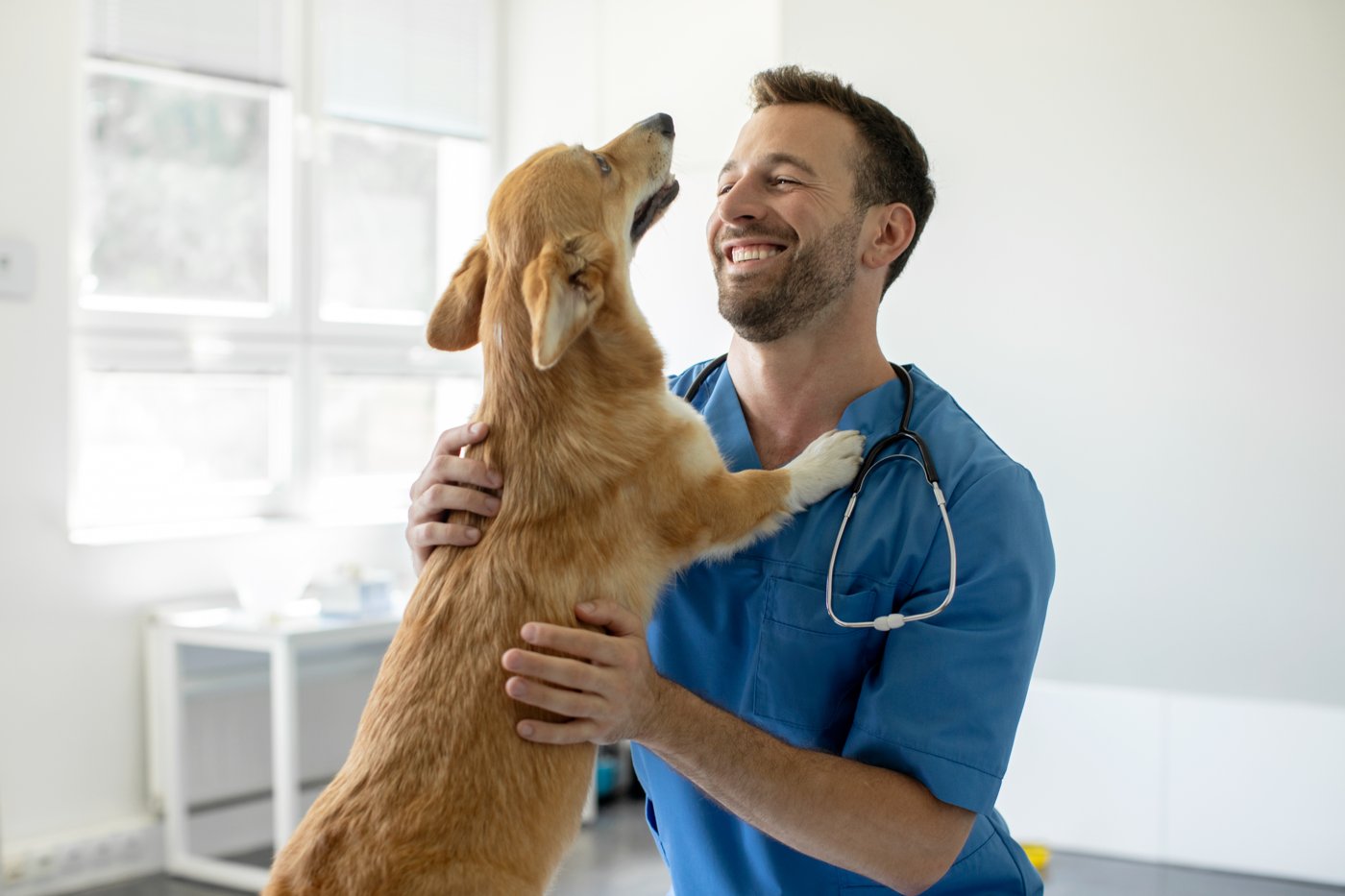 Veterinarian in blue scrubs smiling while holding a dog